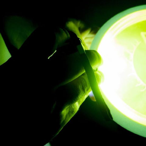 MVP MVP Eclipse Large UV Flashlight (51-LED) Accessory