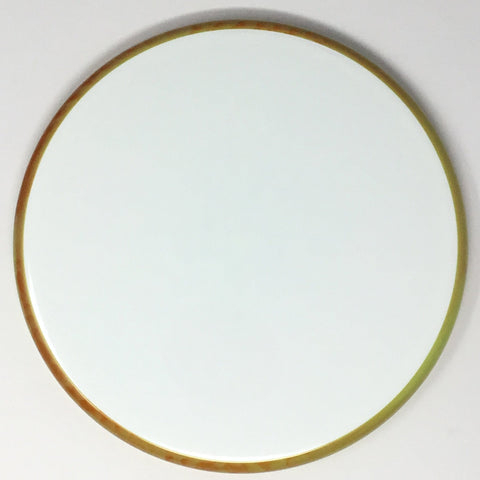 Axiom Discs Tempo (Neutron - Blank Canvas) Midrange