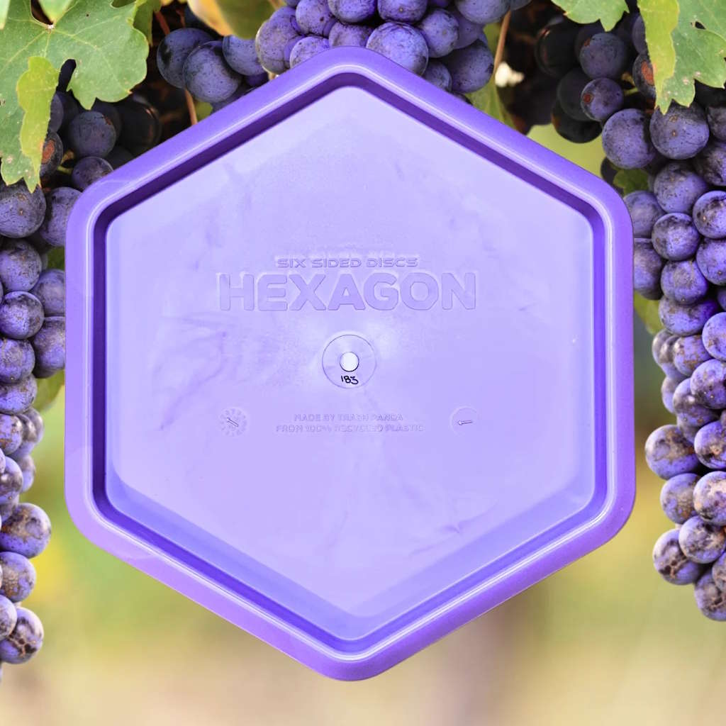 Hexagon (Six Sidied Discs x Trash Panda)