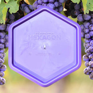 Hexagon (Base Plastic) - Preorder ETA Oct 2