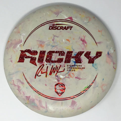 Discraft Focus (Jawbreaker - Ricky Wysocki Line) Putt & Approach
