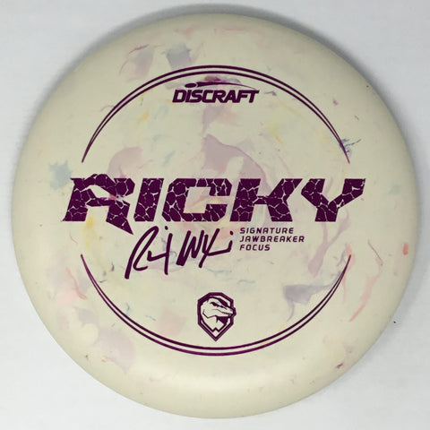 Discraft Focus (Jawbreaker - Ricky Wysocki Line) Putt & Approach