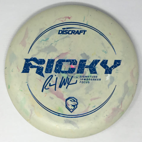 Discraft Focus (Jawbreaker - Ricky Wysocki Line) Putt & Approach
