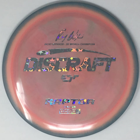 Discraft Raptor (ESP - Ricky Wysocki Signature Series) Fairway Driver