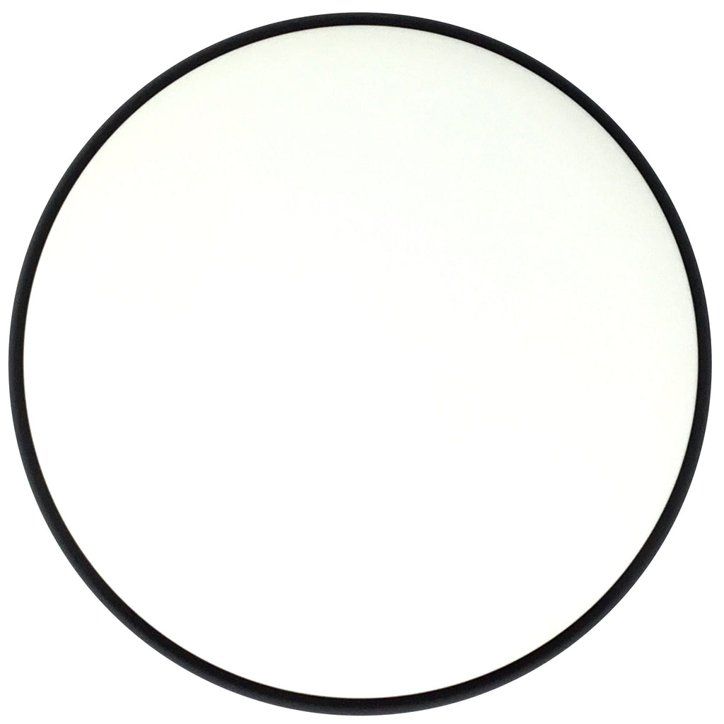 MVP Disc Sports Spin (Neutron - White/Dyeable Blank Canvas) Putt & Approach