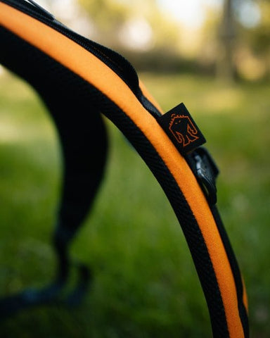 Squatch Disc Golf Squatch Disc Golf Bag (Lore 2.0 Bag with Cooler) Bag