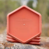 Trash Panda Disc Golf Hexagon (Base Plastic) - Preorder ETA Oct 2 Midrange