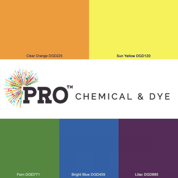 Disc Golf Dye (PRO Chemical & Dye Beginners Disc Golf Dyeing Kit)