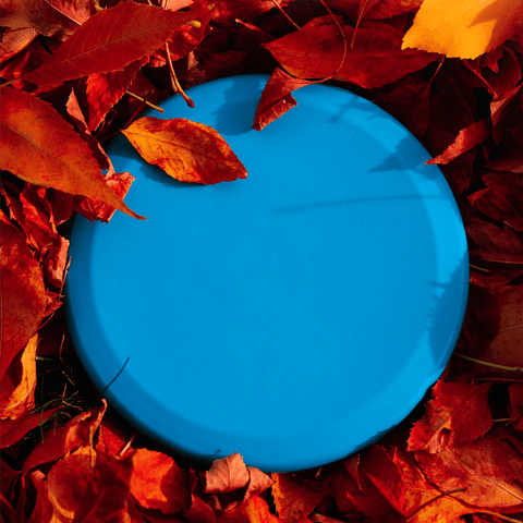 Trash Panda Disc Golf Inner Core (Premium - 100% Recycled) Putt & Approach